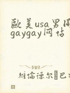欧美usa男同gaygay网站