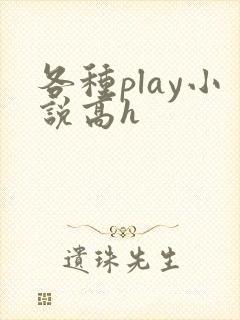 各种play小说高h封面