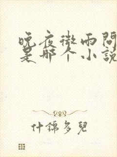 晚夜微雨问海棠是哪个小说