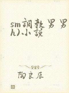 sm调教男男(h)小说