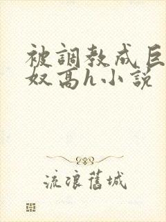 被调教成巨乳奶奴高h小说