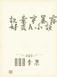 故意穿暴露被强好爽h小说封面