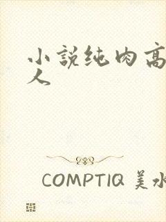 小说纯肉高h多人