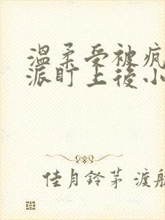 温柔受被疯批反派盯上后小说免费阅读