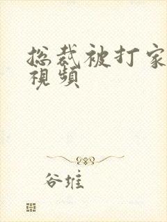 总裁被打家法的视频