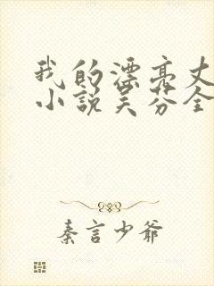 我的漂亮丈母娘小说吴芬全文阅读封面