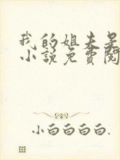 我的姐夫是太子小说免费阅读全文封面