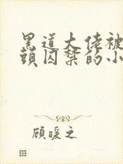 黑道大佬被死对头囚禁的小说