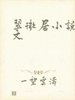 翠微居小说网辣文