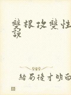 双根攻双性受小说