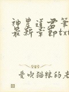 神农道君笔趣阁最新章节txt