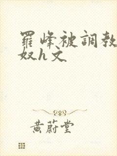 罗峰被调教成肉奴h文