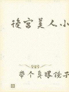 后宫美人小说