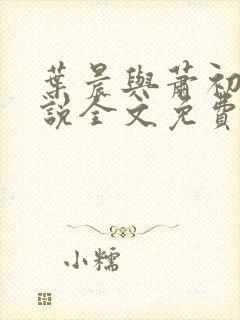 叶晨与萧初然小说全文免费阅读全部