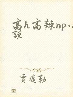高h高辣np小说
