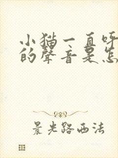 小猫一直呼呼呼的声音是怎么回事