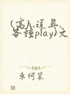 (高h,道具,各种play)文