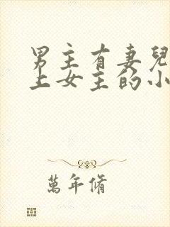 男主有妻儿却爱上女主的小说封面