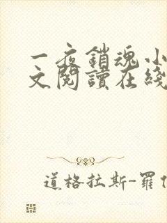 一夜销魂小说全文阅读在线封面