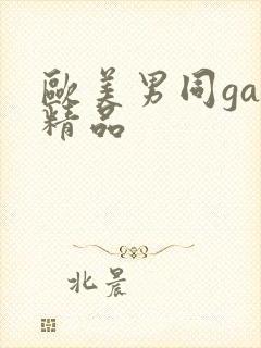 欧美男同gay精品