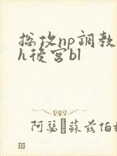 总攻np调教高h后宫bl