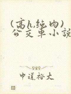 (高h,纯肉)公交车小说