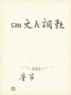 sm文h调教