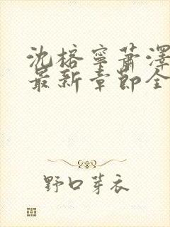 沈榕宁萧泽小说最新章节全文阅读