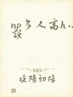 np多人高h小说