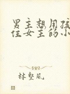 男主想用孩子留住女主的小说