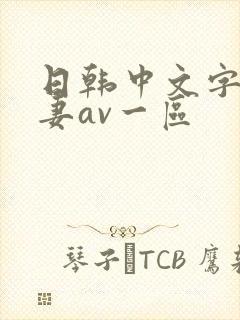 日韩中文字幕人妻av一区封面