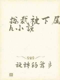 总裁被下属调教h小说