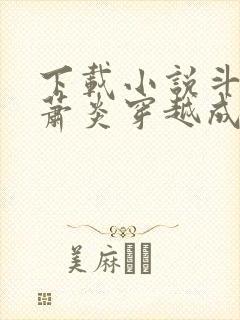 下载小说斗罗:萧炎穿越成唐三封面