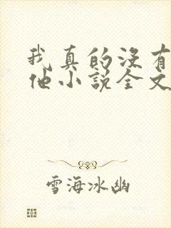 我真的没有引诱他小说全文免费阅读笔趣阁