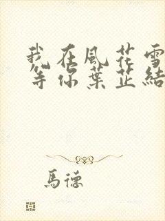 我在风花雪月里等你叶芷结局