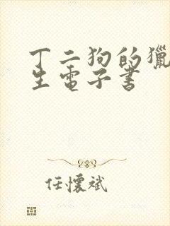 丁二狗的猎艳人生电子书