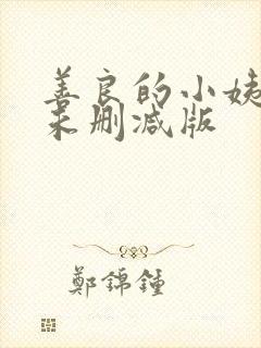 善良的小姨完整未删减版