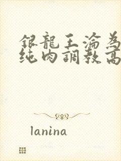 银龙王沦为禁脔纯肉调教高h文