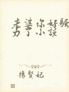 老婆你好骚我用力了小说