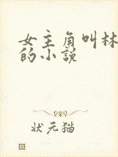 女主角叫林若雪的小说