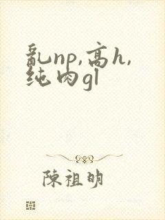 乱np,高h,纯肉gl