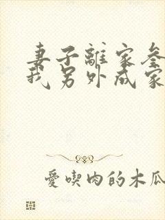 妻子离家叁年,我另外成家了免费阅读封面