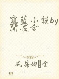 窃蓝小说by明开夜合