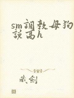 sm调教母狗小说高h