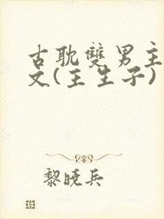 古耽双男主生子文(主生子)封面