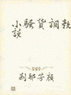 小骚货调教h小说