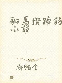 驷马攒蹄的女警小说