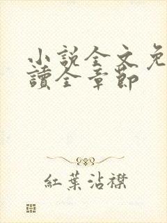 小说全文免费阅读全章节