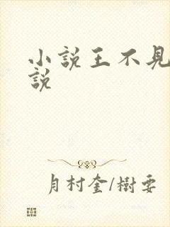 小说王不见王小说