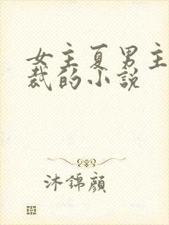 女主夏男主傅总裁的小说
